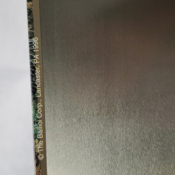 Picnic Family Bears Metal Tin Sign Baseball Outside Play Old Time Bike Park VTG - Picture 14 of 16